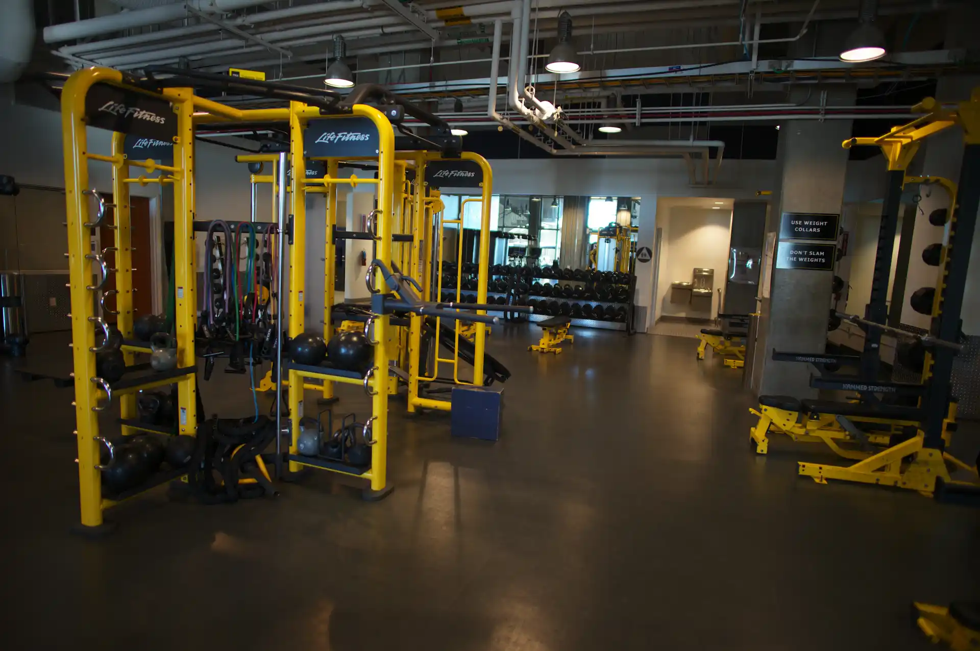 Estaciones amarillas de entrenamiento funcional en un gimnasio de UC Berkeley