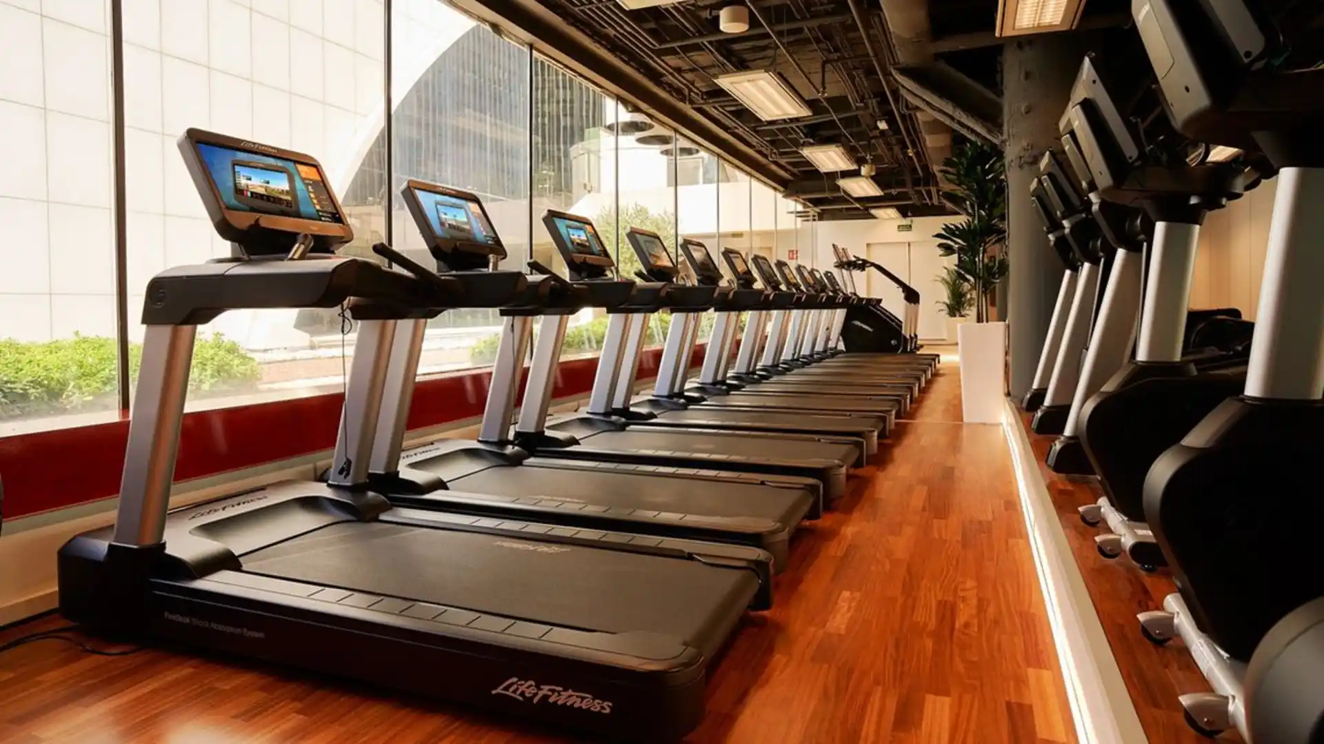 Fila de caminadoras Life Fitness en AltaFit Torre Picasso