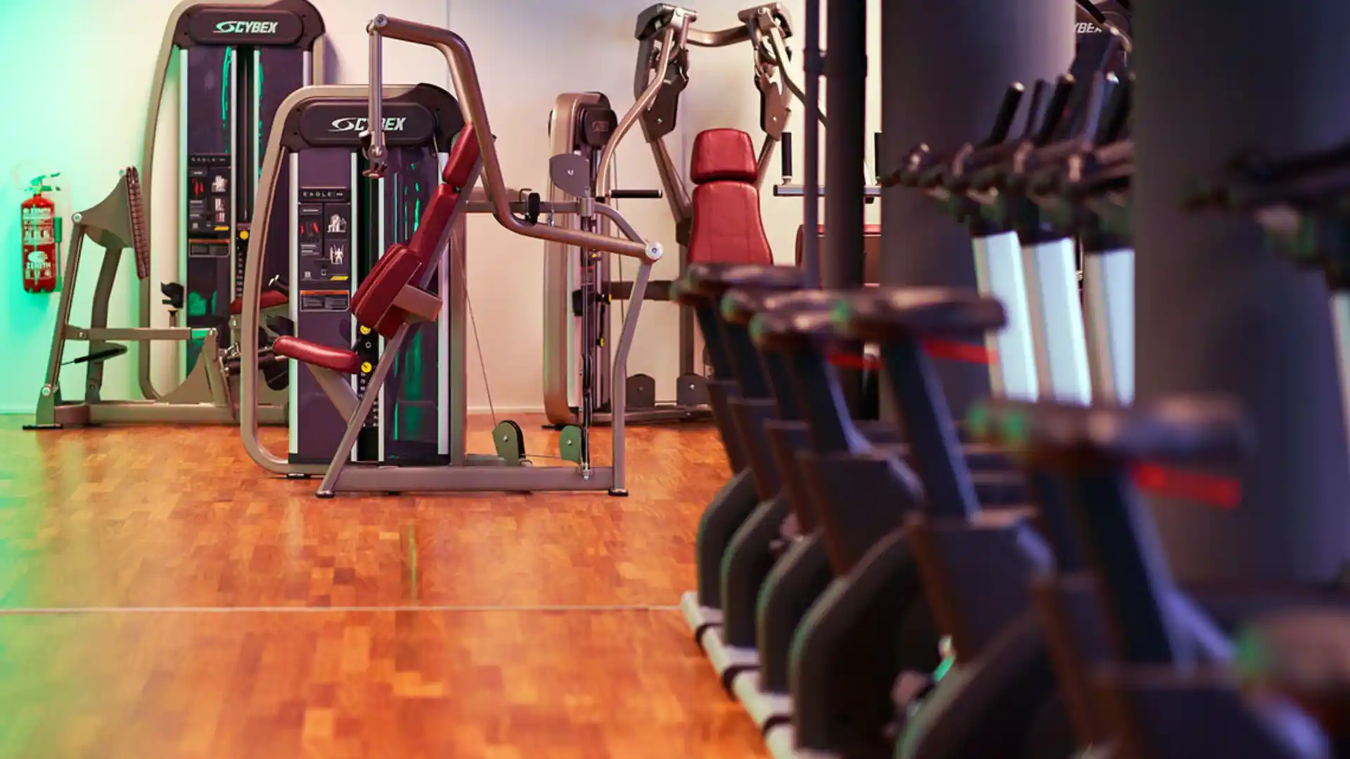 Máquinas selectorizadas Cybex en AltaFit Torre Picasso