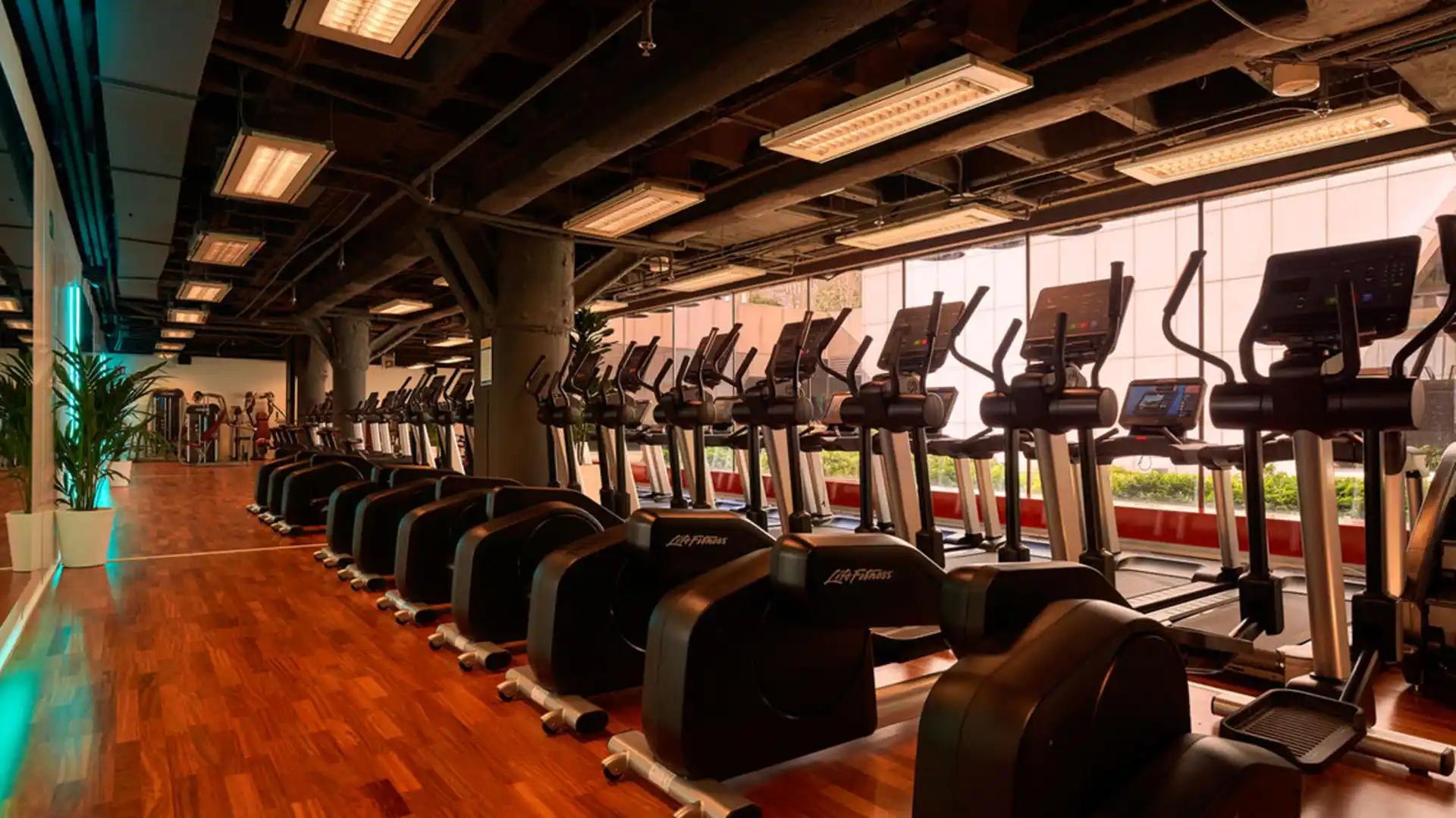 Equipos de cardio Life Fitness alineados en AltaFit Torre Picasso